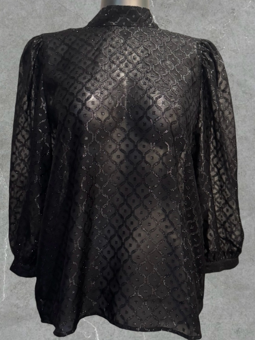 Black Sheer Patterned Long-Sleeve Blouse
